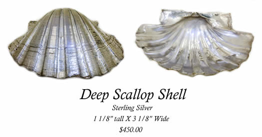 Deep Scallop Shell Image