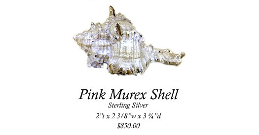 Pink Shell Image
