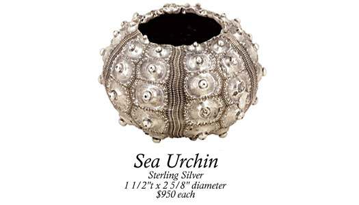 Sea Urchin Image