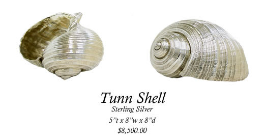Tunn Shell Image